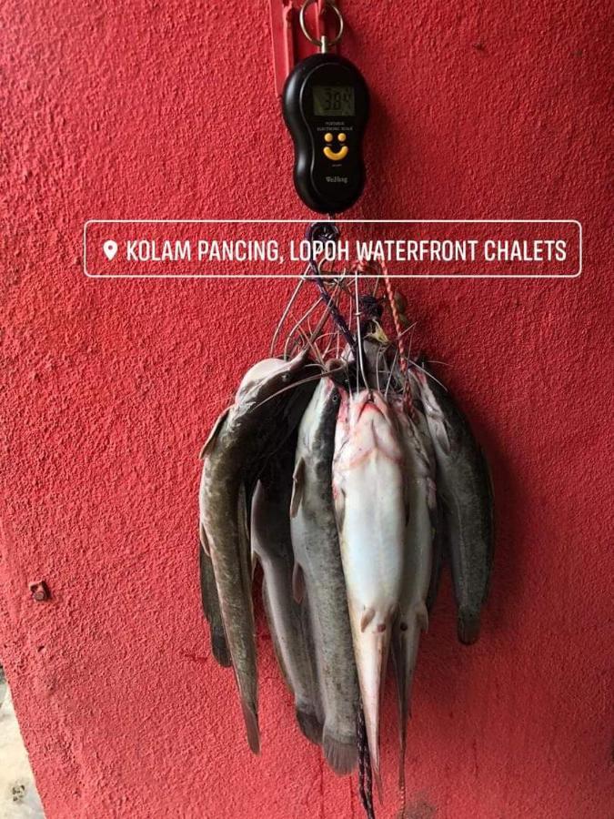 Lopoh Waterfront Budget Chalets Villa Хулу Лангат Екстериор снимка
